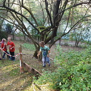 Foto: Kathrin Wallner