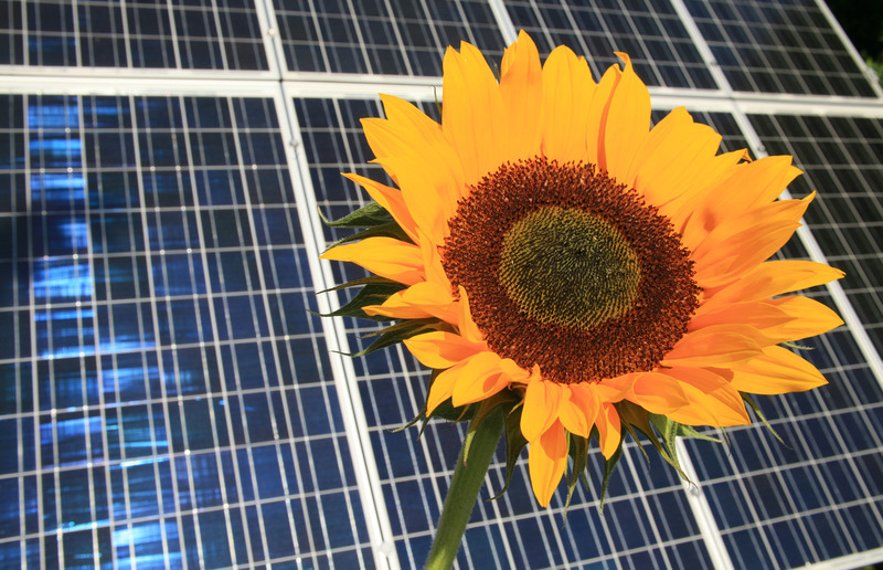 Rainer Sturm / PIXELIO